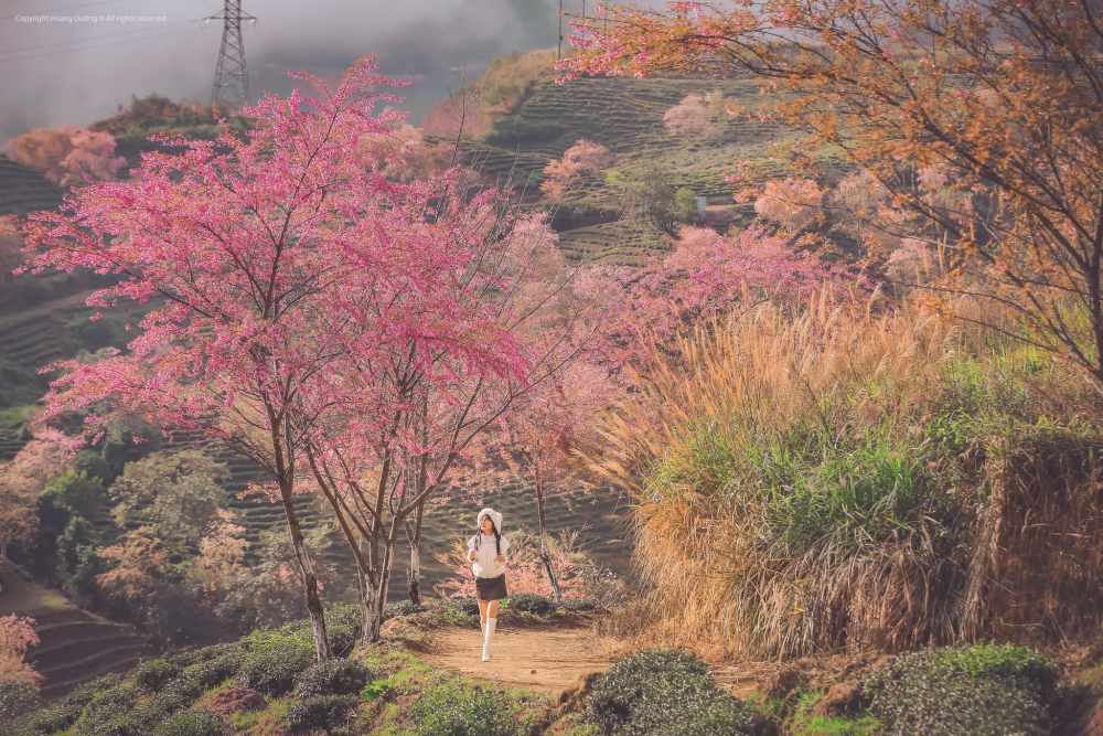 Khách ưu tiên chốt tour đi nhanh, nghỉ gọn dịp Tết Dương lịch 2026